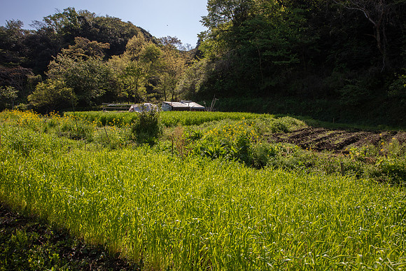 Kamakura Community Farm April 2023-31