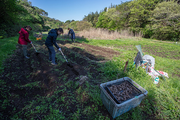 Kamakura Community Farm April 2023-46