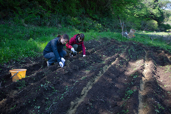 Kamakura Community Farm April 2023-3