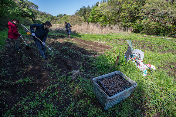 Kamakura Community Farm April 2023-47
