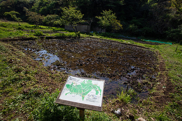 Kamakura Community Farm April 2023-32