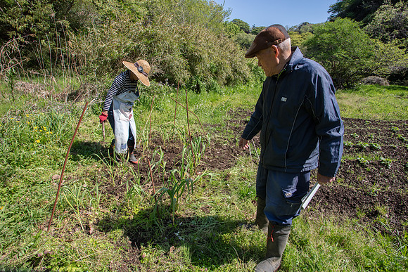 Kamakura Community Farm April 2023-14