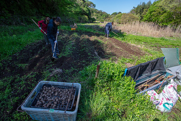 Kamakura Community Farm April 2023-44