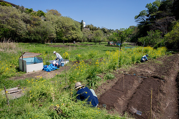 Kamakura Community Farm April 2023-22