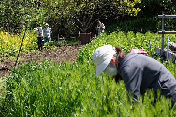 Kamakura Community Farm April 2023-25