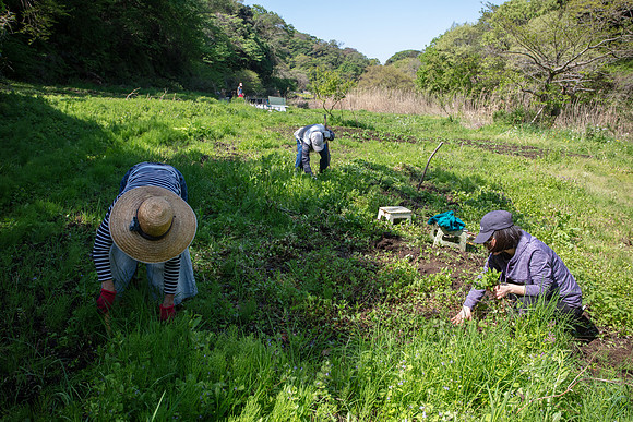Kamakura Community Farm April 2023-7