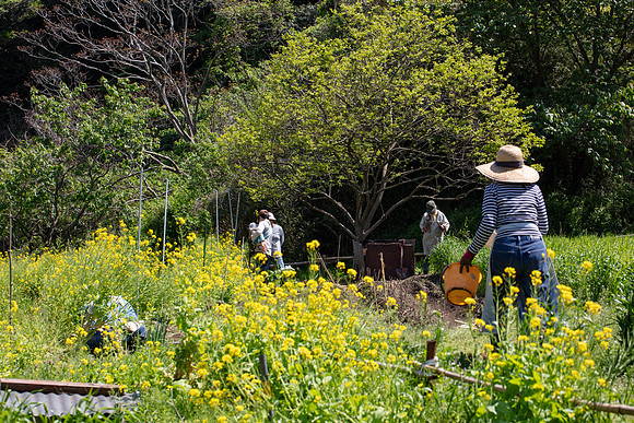 Kamakura Community Farm April 2023-24