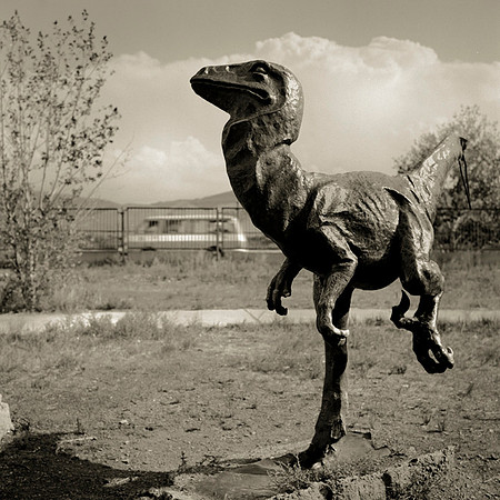 Dinosaur monument
