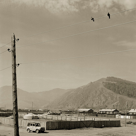 Two Birds on a wire
