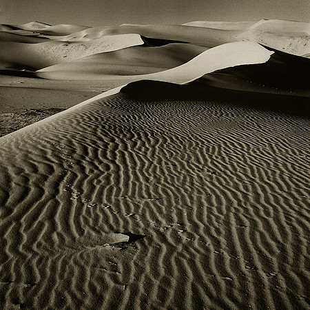 Els, Mongolia