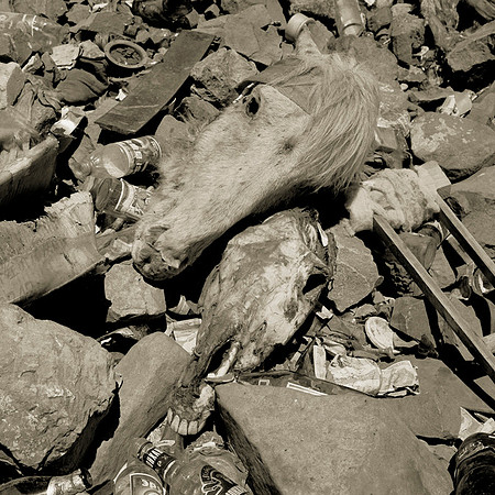 Mongolia Book 23-Final Image