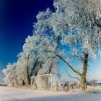 -11C Staxton, N.Yorks